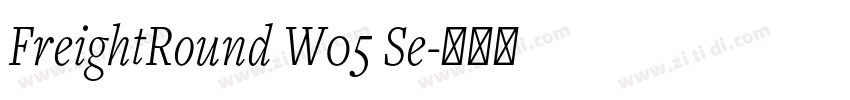 FreightRound W05 Se字体转换